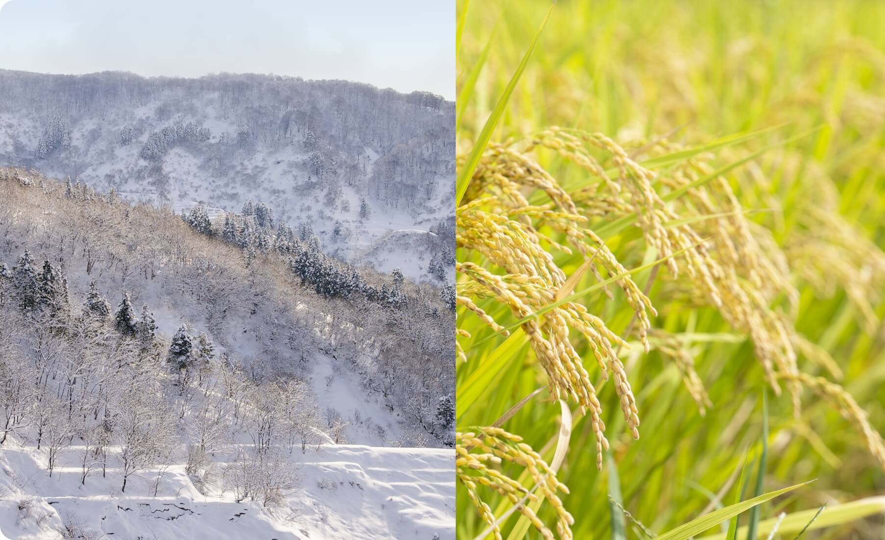 質感と雪山