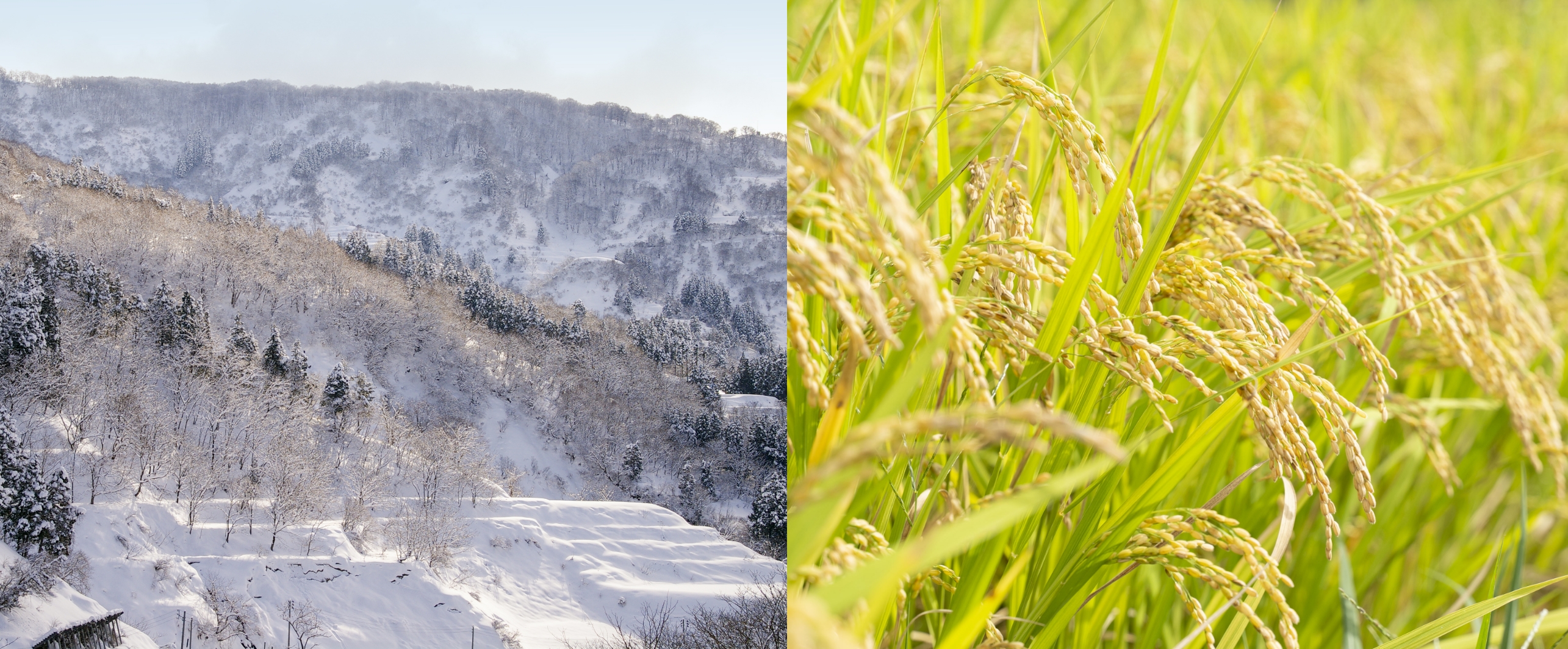 質感と雪山