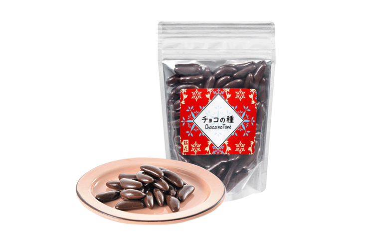 チョコの種の写真